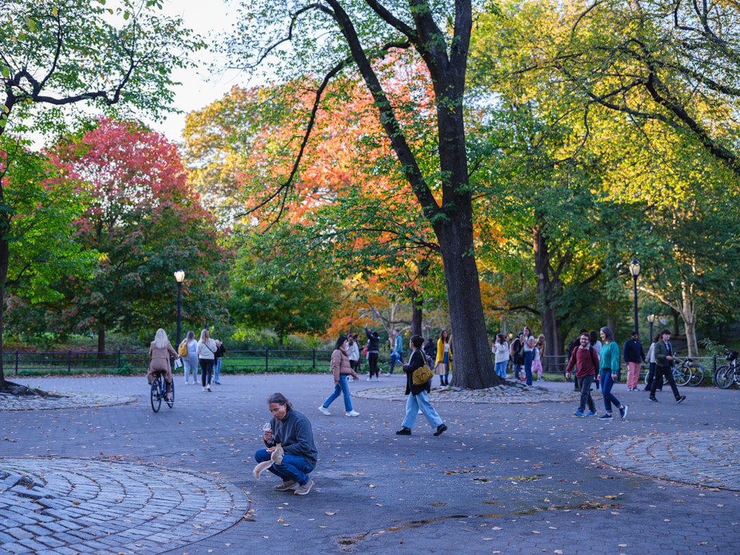 콜럼비아(Columbia)·UCLA Economics 편입 합격 후기 2026: 동시 합격 전략