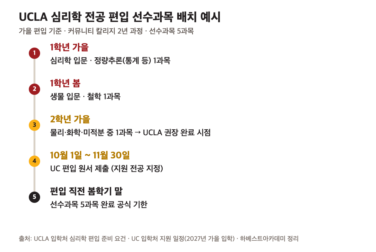 UCLA 심리학 편입 선수과목 배치 타임라인 — 1학년 가을 심리학 입문·통계, 1학년 봄 생물·철학, 2학년 가을 물리·화학·미적분 중 1과목, 10월 1일~11월 30일 UC 원서 제출, 편입 직전 봄학기 말 완료 기한